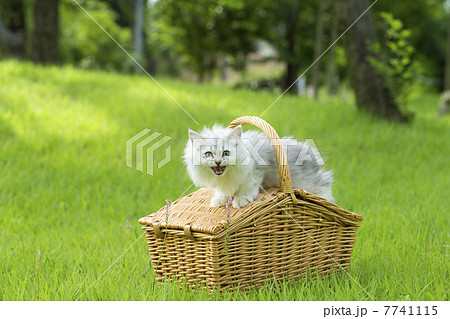 白チン公園デビューその3 7741115