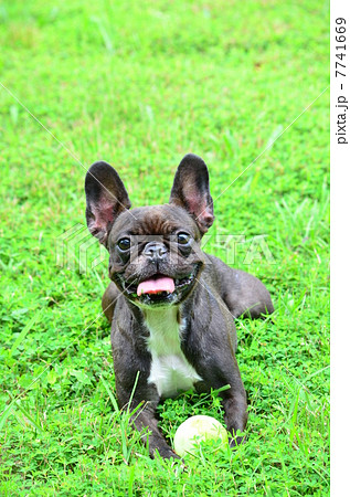 楽しいねぇ♪ 楽しいねぇ♪ 7741669