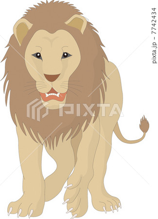 ライオンのイラスト ライオンのイラスト 7742434