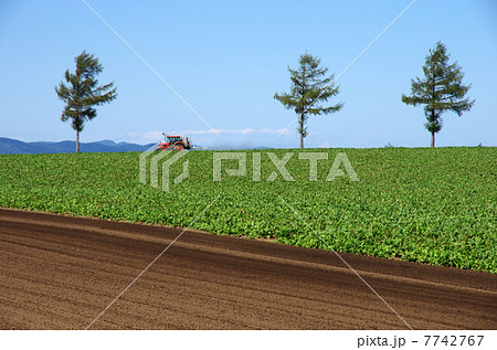 女満別の農場 7742767