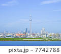 首都高から望む東京スカイツリー 7742788