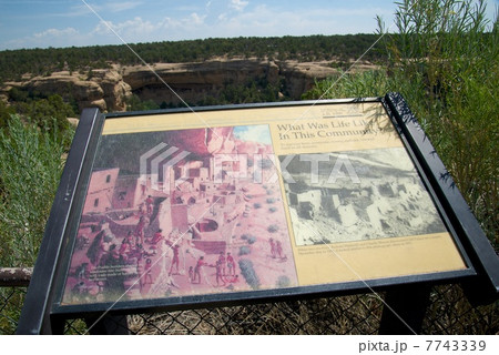 メサベルデ国立公園 メサベルデ国立公園 7743339