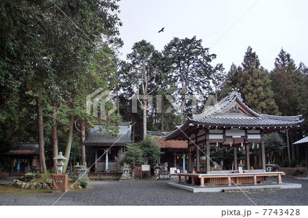 天皇神社境内(大津市和邇(わに)中 天皇神社境内(大津市和邇(わに)中 7743428