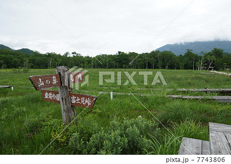 尾瀬ヶ原　交差点 7743806