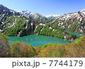 早春 7744179