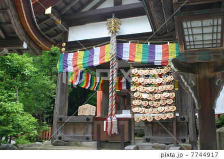 京都　上賀茂神社　片岡社 7744917
