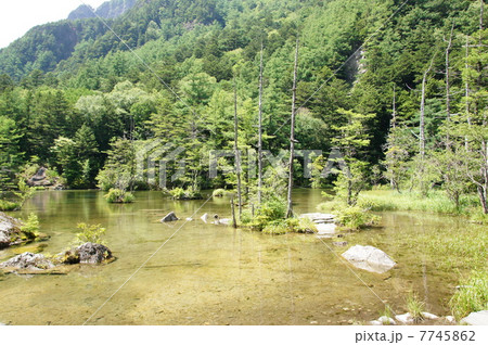 上高地　　明神池 7745862