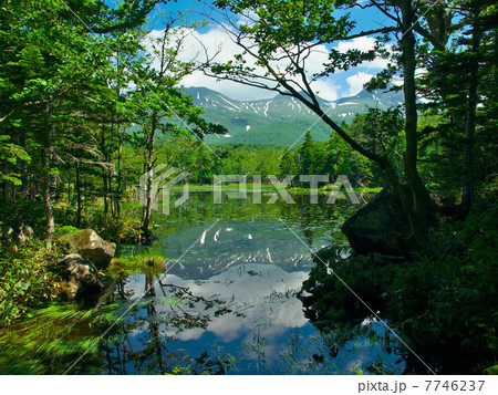 知床五湖　二湖 7746237