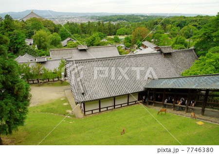 東大寺 二月堂からの眺め 東大寺 二月堂からの眺め 7746380