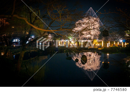 東山花灯路 円山公園 ひょうたん池と祇園枝垂桜 東山花灯路 円山公園 ひょうたん池と祇園枝垂桜 7746580