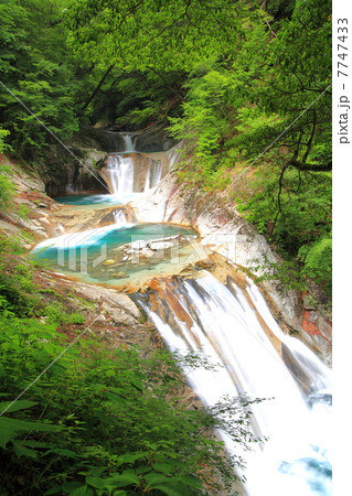 西沢渓谷の七ツ釜五段の滝 7747433
