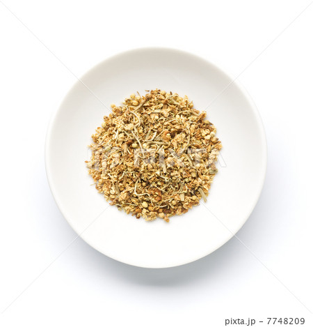 エルダーフラワー 7748209