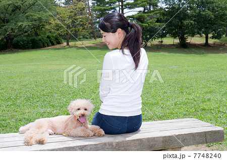 公園 ベンチに座る女性とペット 後ろ姿の写真素材