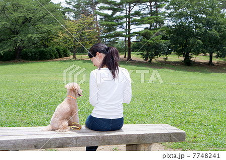 公園 ベンチに座る女性とペット 後ろ姿の写真素材