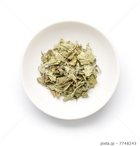 レモンバーベナ（ベルベイヌ） 7748243