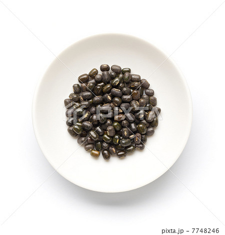 ウラド豆（ケツルアズキ） 7748246