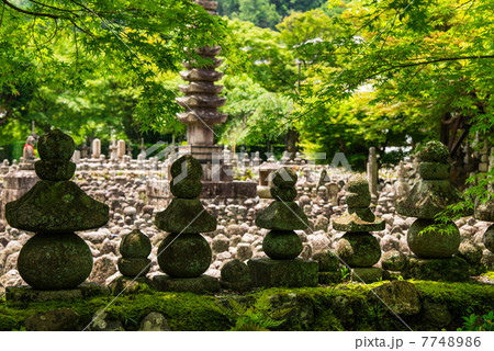 嵯峨野　化野念仏寺の石仏 7748986