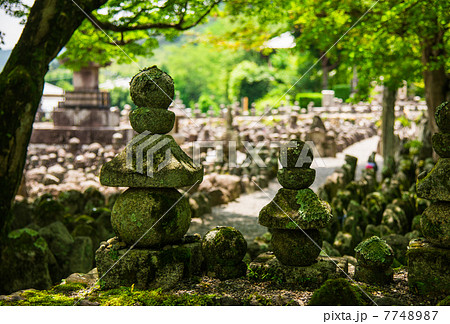 嵯峨野　化野念仏寺の石仏 7748987