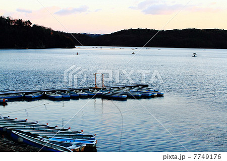 早朝の入鹿池 7749176