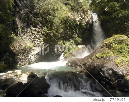 伊豆・河津七滝のひとつ・釜滝(かまだる) 伊豆・河津七滝のひとつ・釜滝(かまだる) 7749195