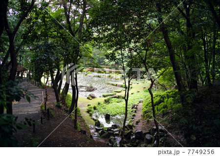 常栄寺雪舟庭 7749256