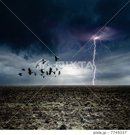 Dark landscape Dark landscape 7749337