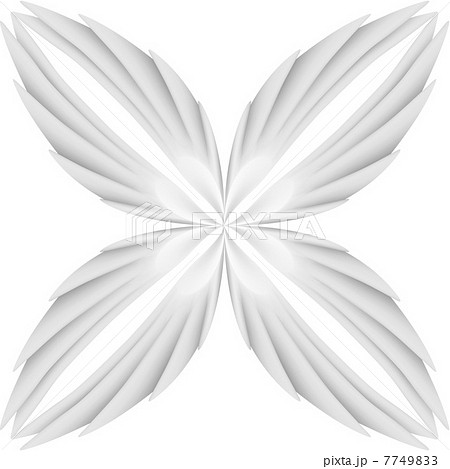 White wings 7749833
