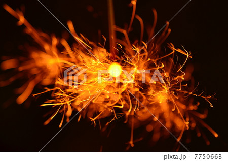 線香花火 7750663