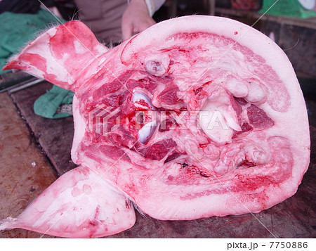 輪切りにされたブタの頭部（サパ／ベトナム） 7750886