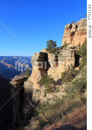 夏のグランドキャ二オン国立公園 7751132