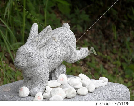 白兎神社 白兎神社 7751190