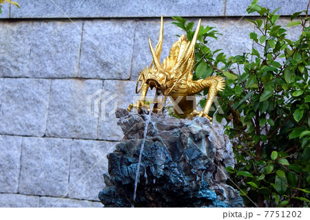 黄金の竜の口 金龍山福正寺 黄金の竜の口 金龍山福正寺 7751202