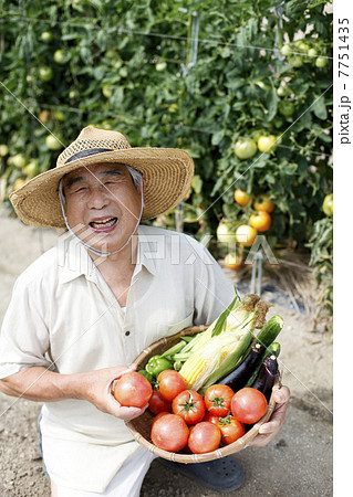 夏野菜の収穫 夏野菜の収穫 7751435