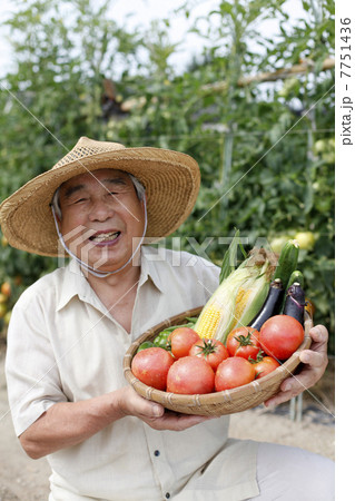 夏野菜の収穫 7751436