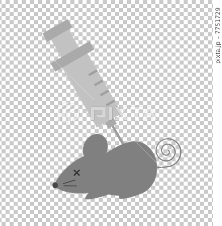 動物実験 7751729