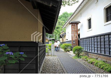 栗の小径・夏 7751766