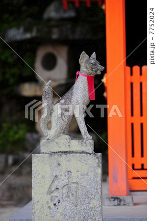 稲荷神社の狛きつね-1 7752024