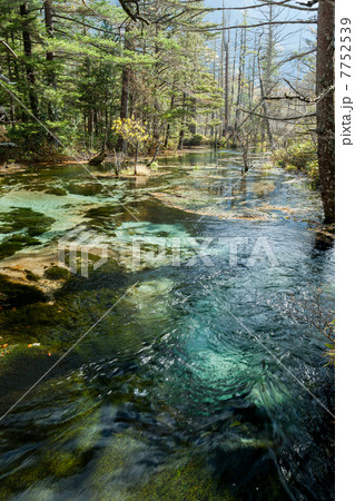 上高地の秋 7752539