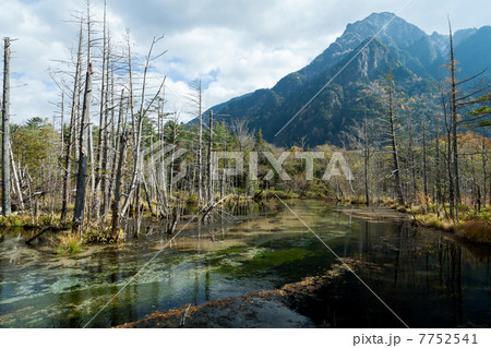 上高地の秋 7752541