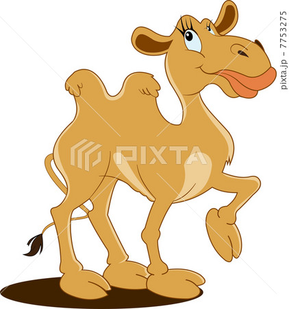 Ship of the desert dromedary. Camel. Vector illustration Ship of the desert dromedary. Camel. Vector illustration 7753275