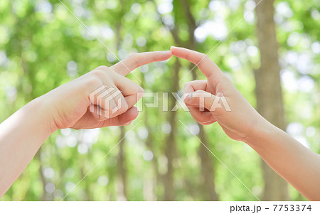 指と指 7753374