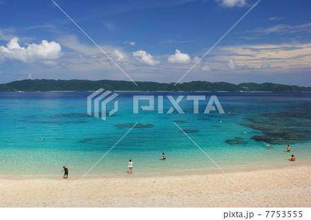 古座間味ビーチ 7753555