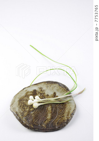 皿に野蒜 7753765