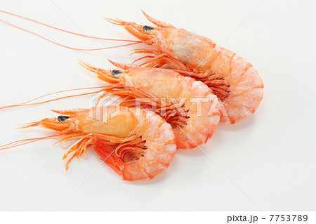えびの釜揚げ 7753789
