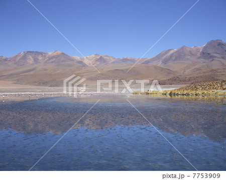 アルティプラーノを行く 7753909