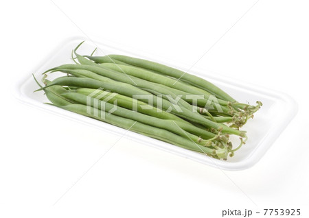 サンドマメ 7753925