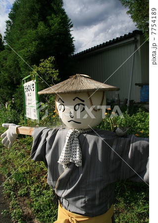 かかし 7754189