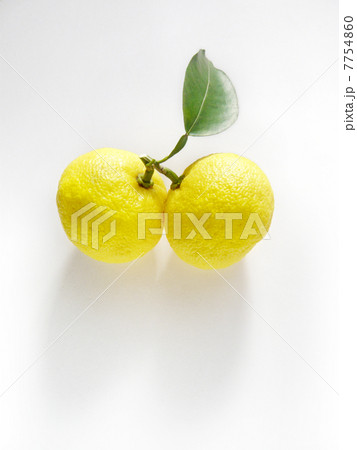 柚子 twin fruits_01 7754860