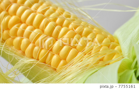トウモロコシ 7755161