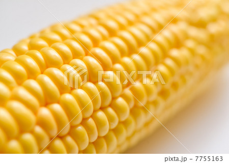 トウモロコシ 7755163